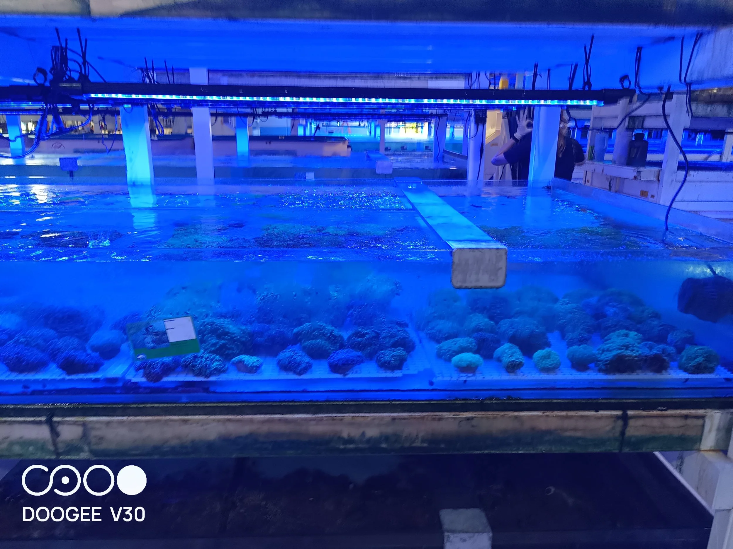 IMG_20250403_150511_855.jpg