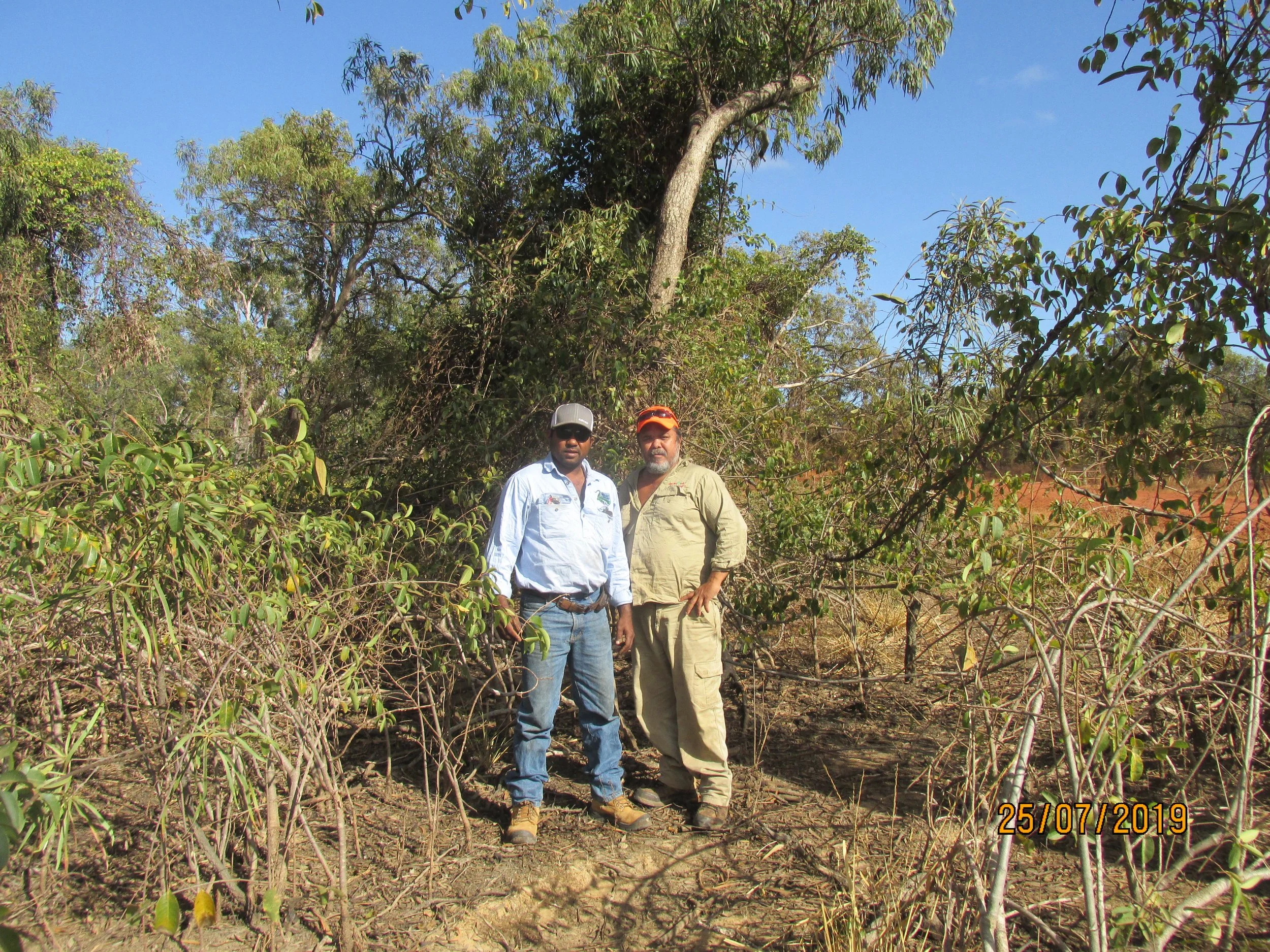 Environmental Capability Building in Far North Queensland- Helped by Wild Country Environmental Fund
