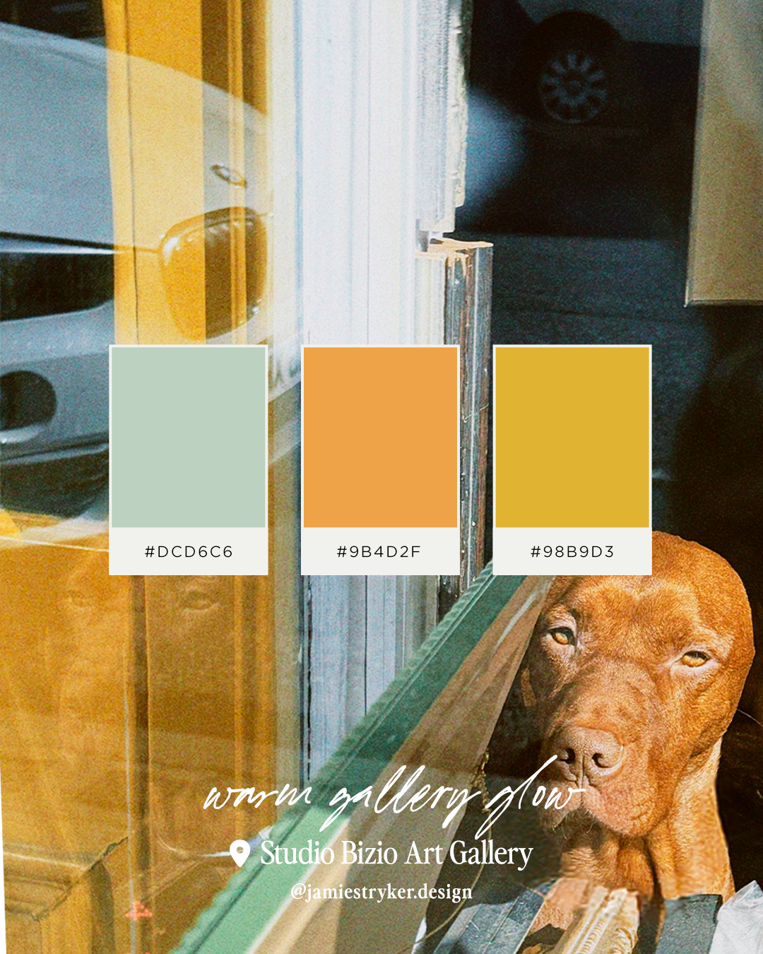 Bizio Gallery with Dog in Window