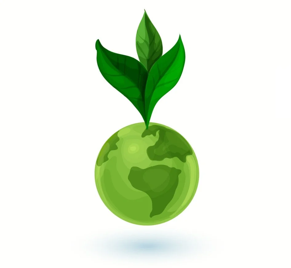 Screenshot 2024-03-19 094943.jpg