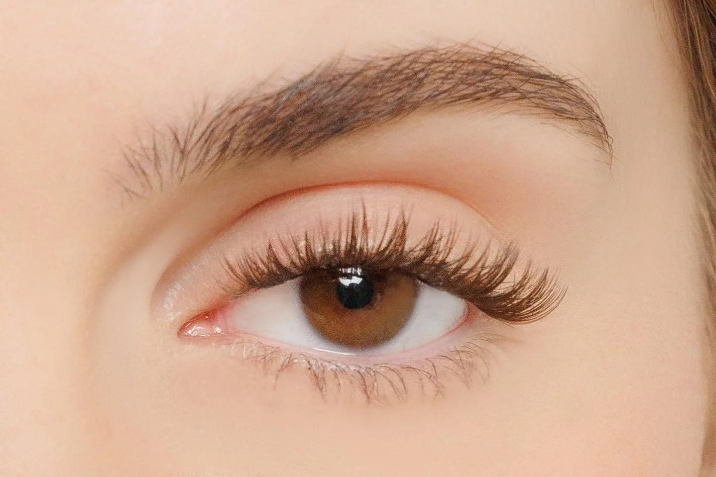 Brown DIY lashes.jpg