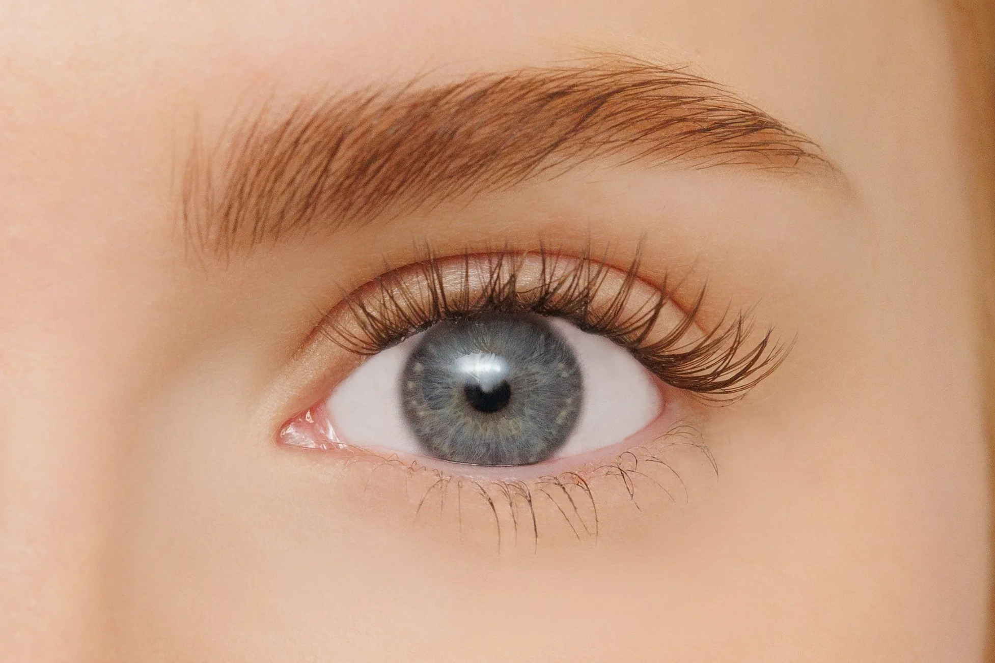 Brown DIY lashes Alarna make Up solutions.jpg