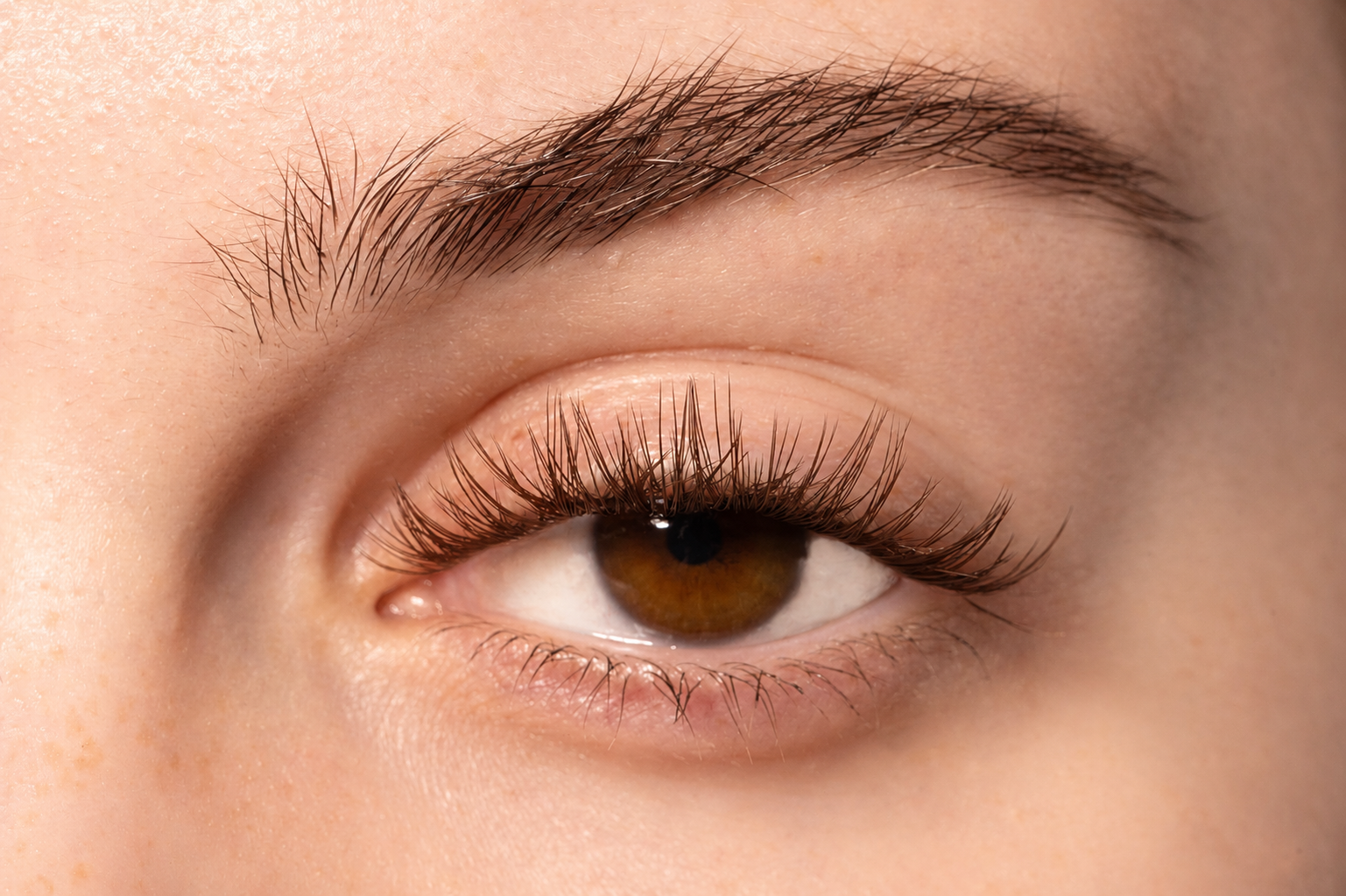 Brown wide Cluster Feather close up.png