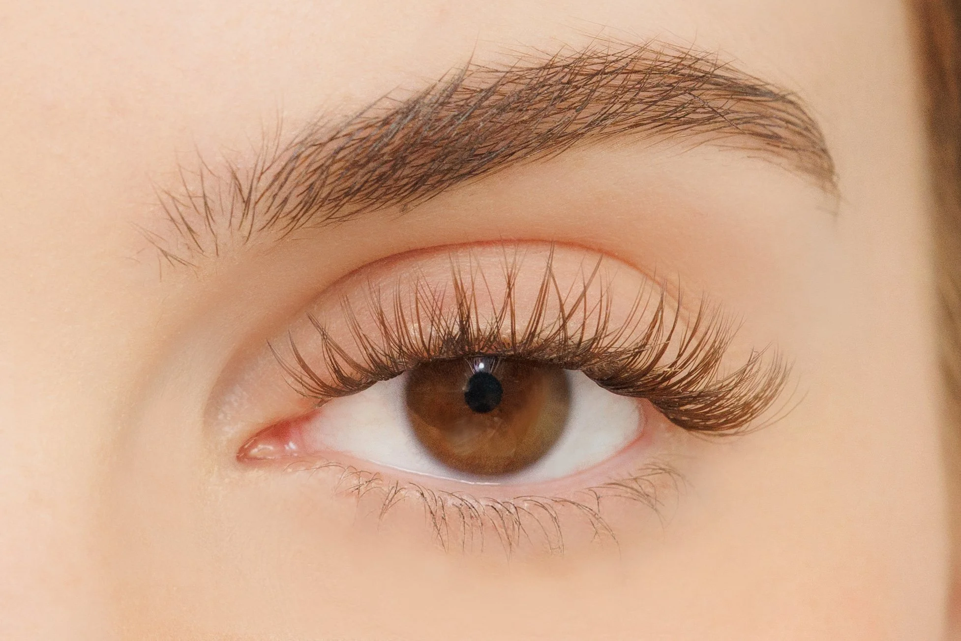 Natural Brown Eye lashes clusters Australia.jpg