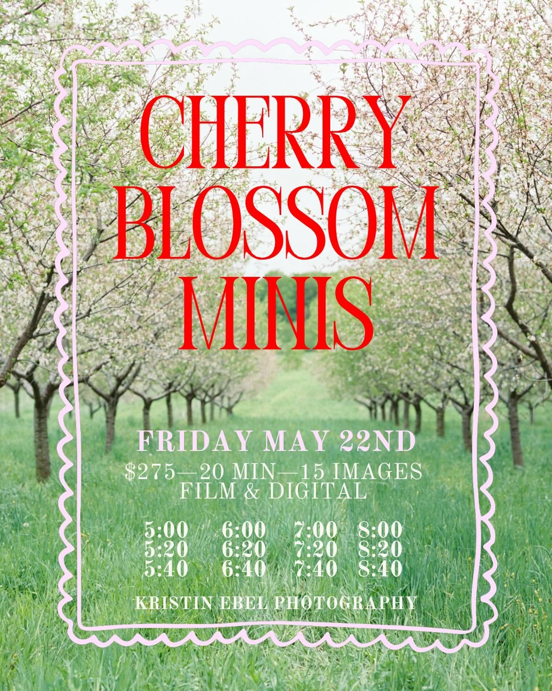 Film + Digital Cherry Blossom Mini Sessions!

Friday May 22nd at a Traverse City orchard. Film and digital, 15 images, $275. Location will be shared upon booking! Comment, email, or text 518-577-9614 to book your time today🤍🌸🤍