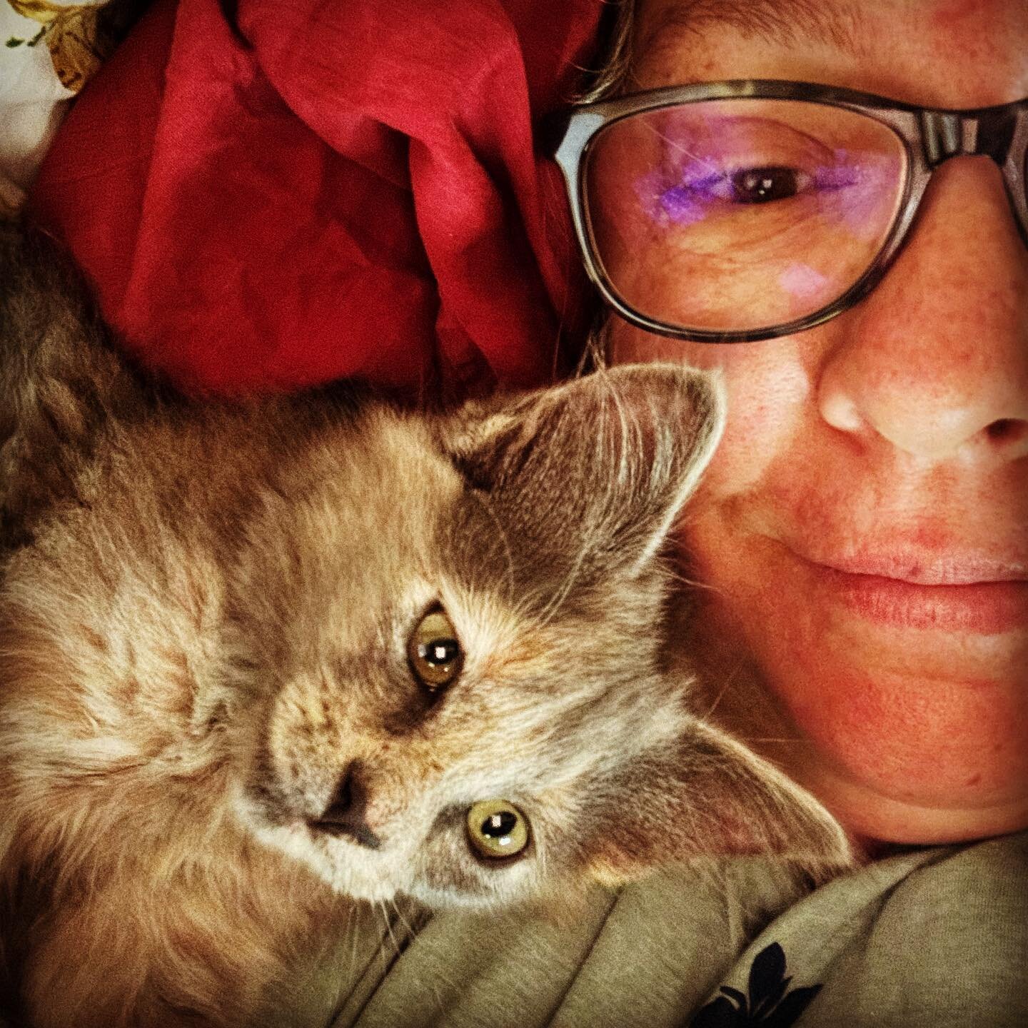Waking up - a not so still life with midwife and her kitten&hellip;. #ilovebabyeverythings #ablemidwife #kittenenergy #topofthemorning