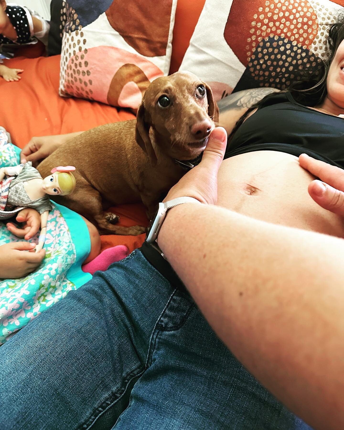 One of the sweetest things about being a home visiting midwife is that we get to check on mom and baby in the comfort of home surrounded by the whole family including siblings and pets. This sweet pup is joining big sis in assisting apprentice midwif