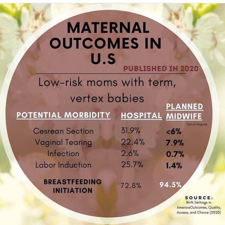 Pretty incredible statistics here - if your pregnancy is low risk - which most pregnancies are considering a community birth can be a very safe, supported and smart choice #homebirthmidwife #communitymidwifery #ablemidwife #midwiveshelppeopleout #hom