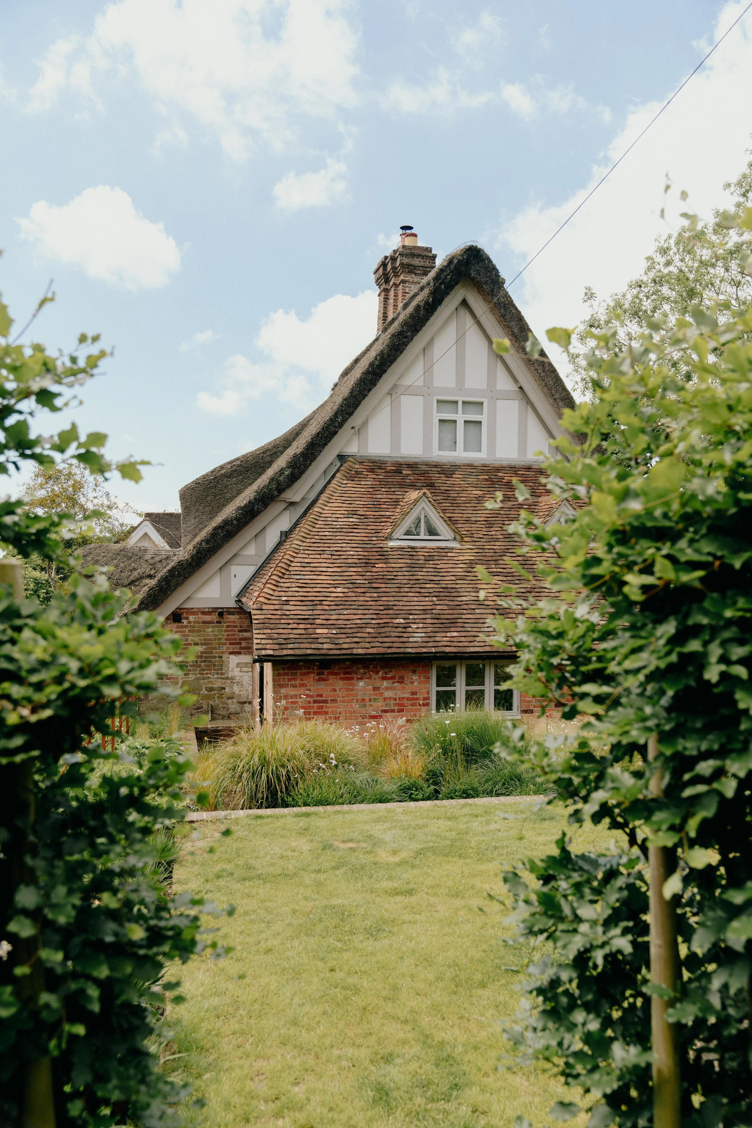 The_Thatch_Inigo_a0OP3000002datiMAA_N30.jpg
