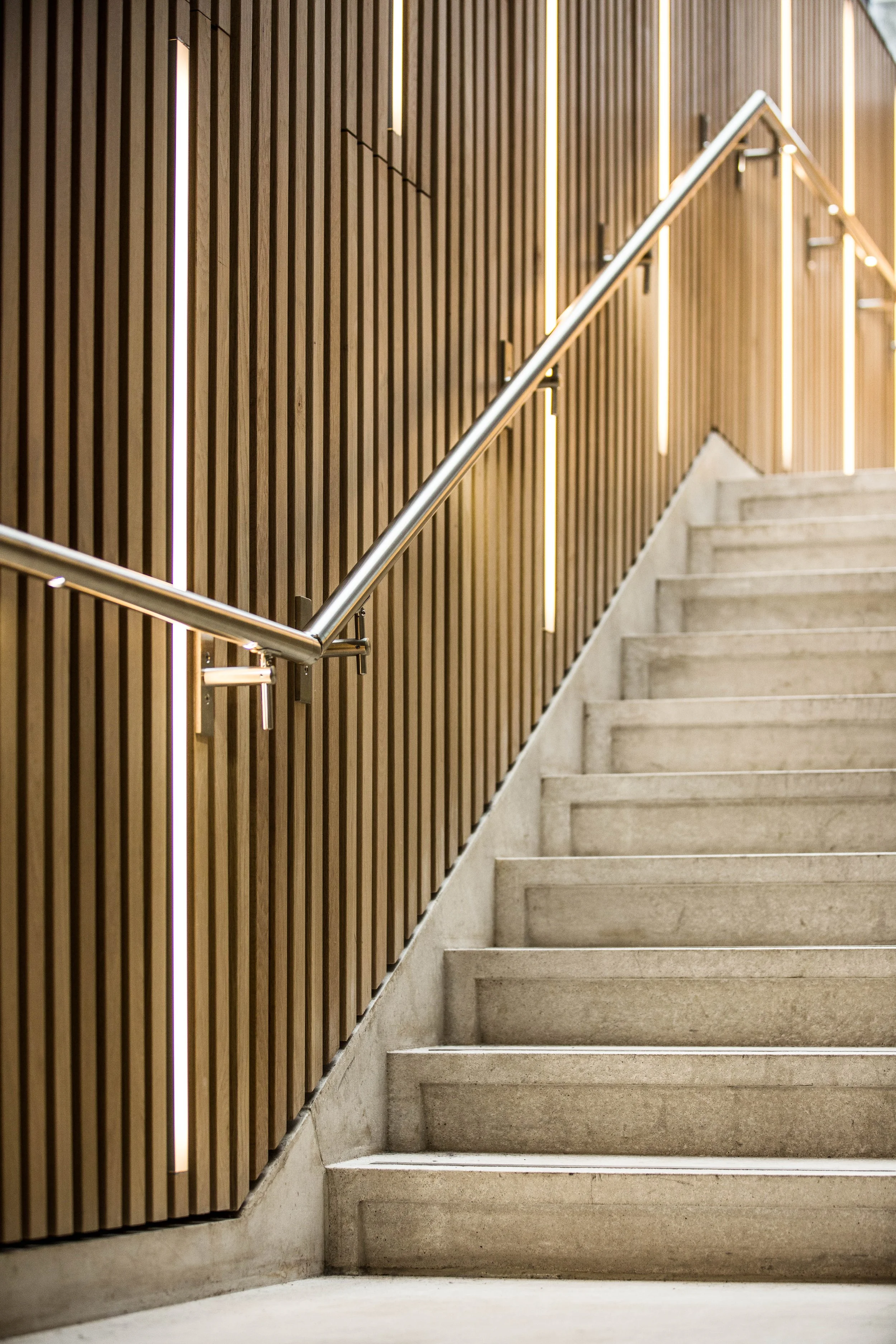 William Deakins UCL Cruciform 08.jpg