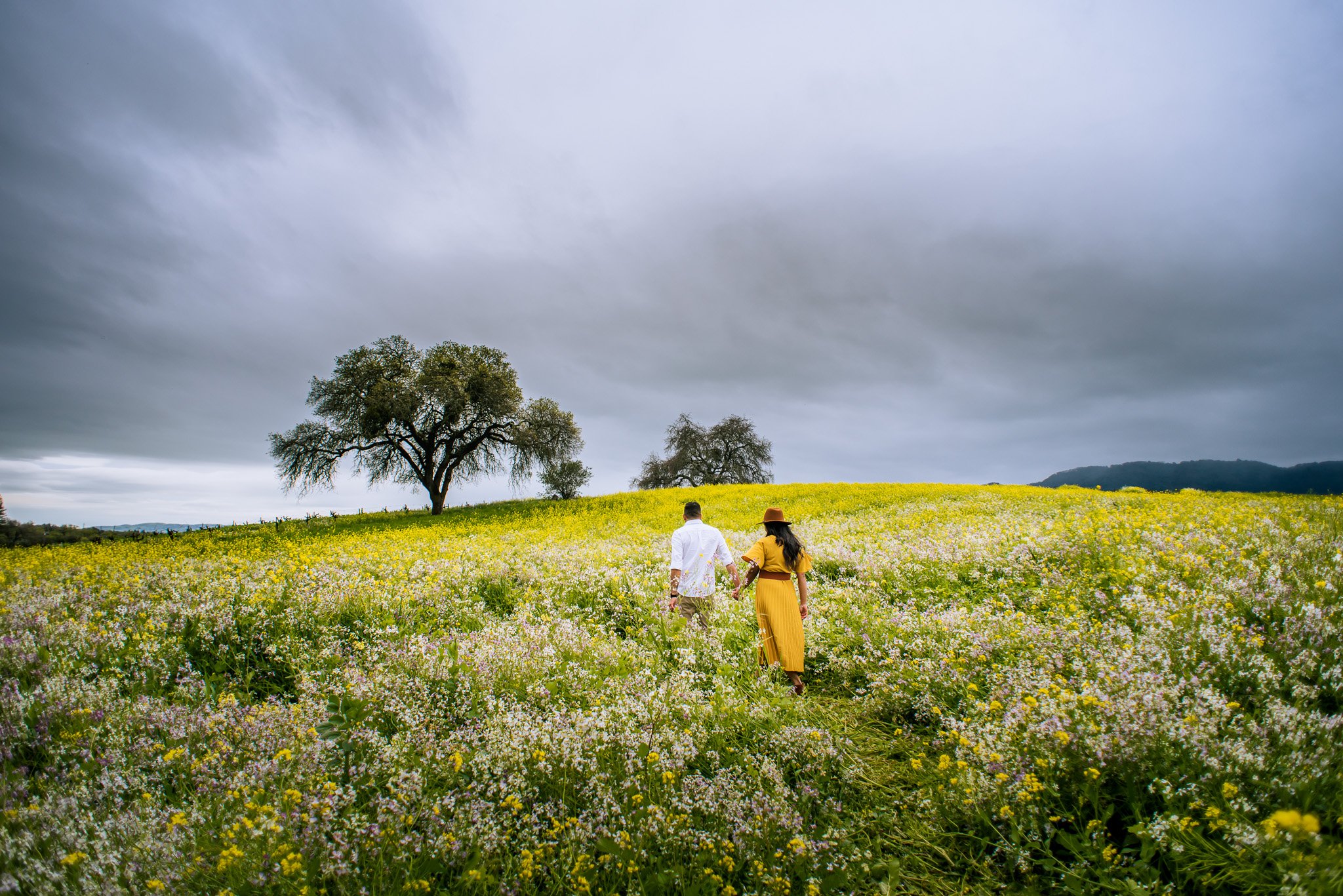 Ledson_House_Sonoma_Kenwood_California_EngagementSession_Varsha_Hardik_TanushreeVaidya-14.jpg