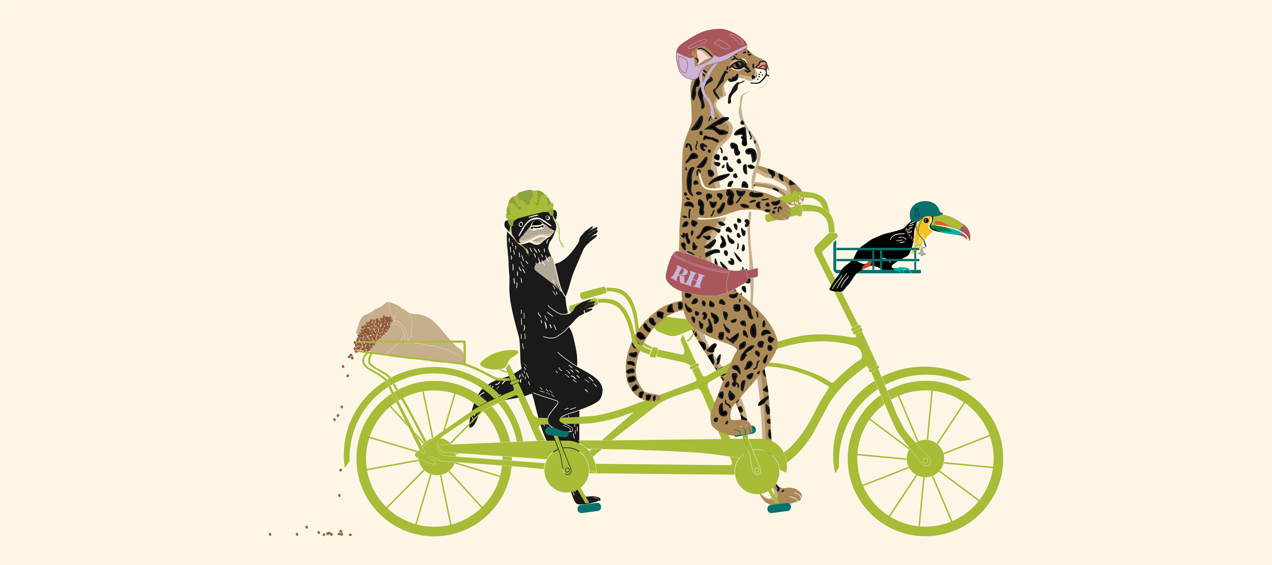 mm_website roast house_illustration_1.png