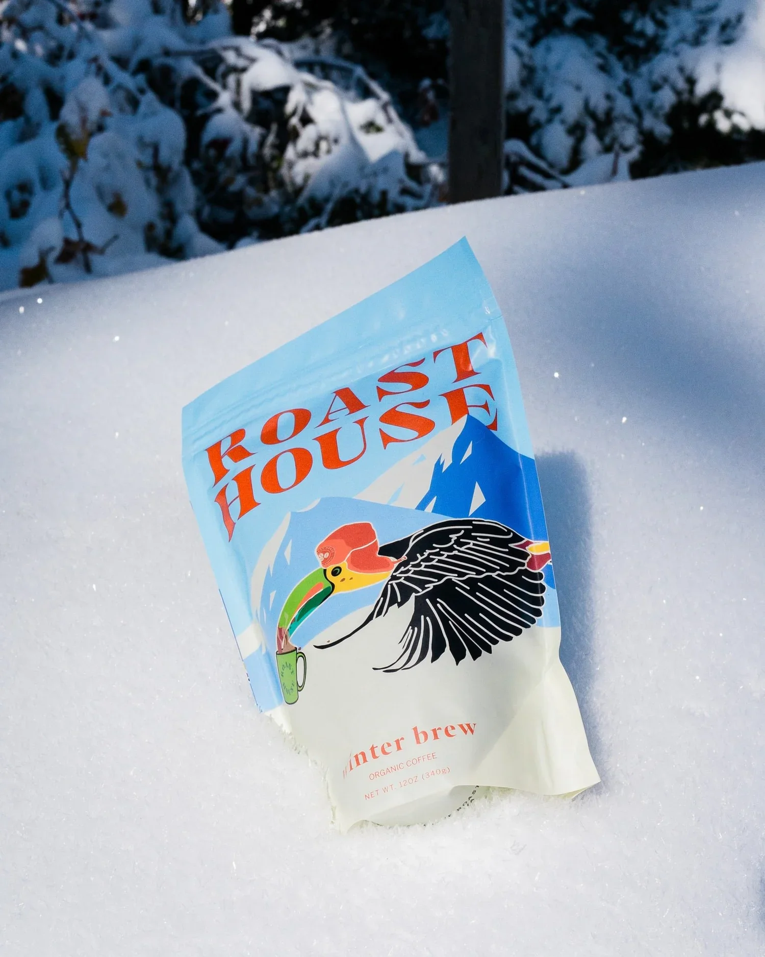 roast+house_winter+brew_snow_evan+lovell+(1).webp