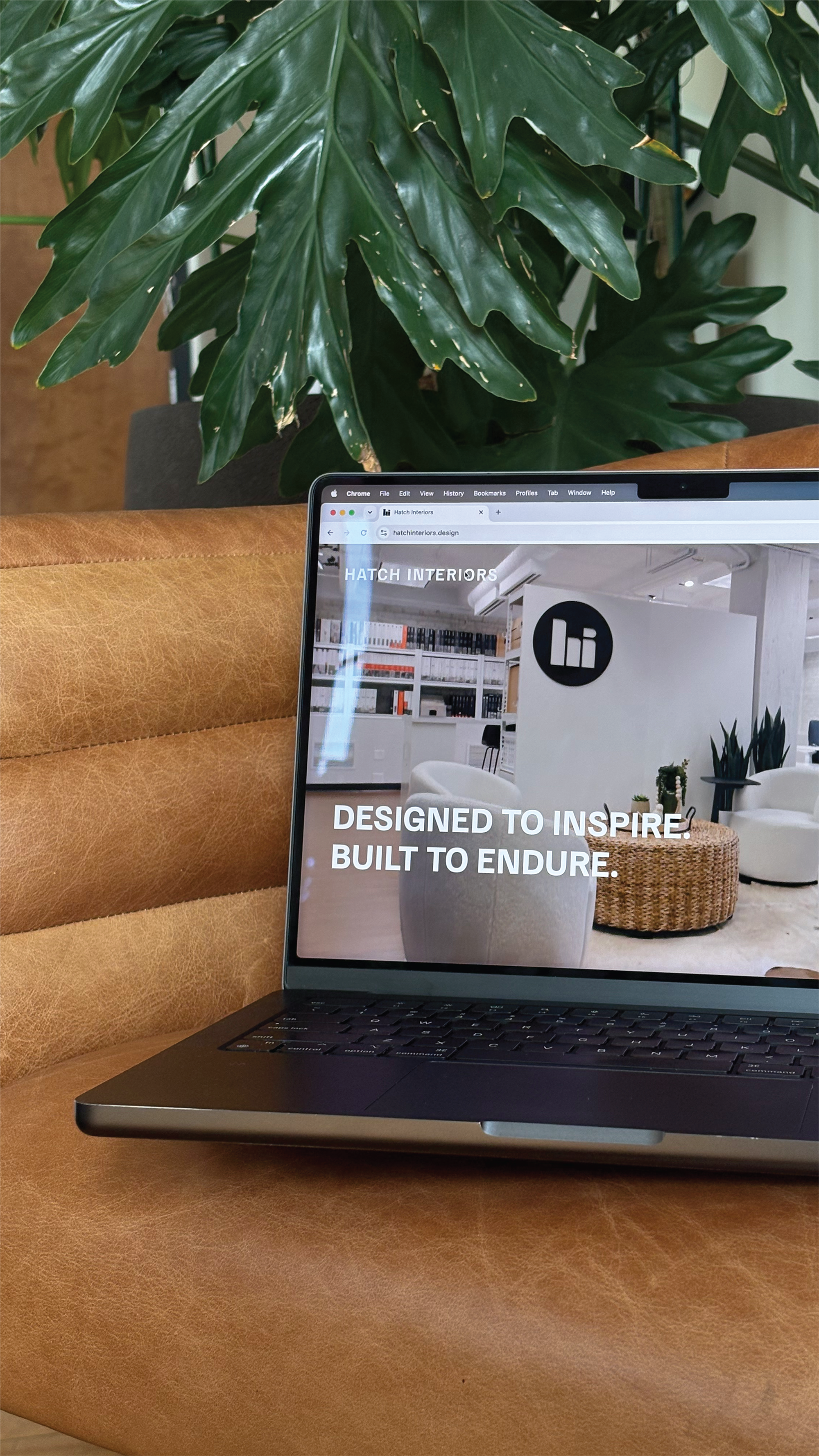 Your Logo Isn’t Your Brand: What a Complete Identity Actually Does for Your Business