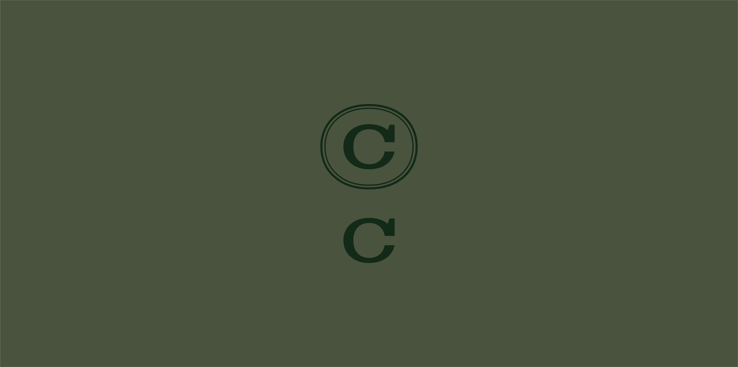 4—logo flip_6.png