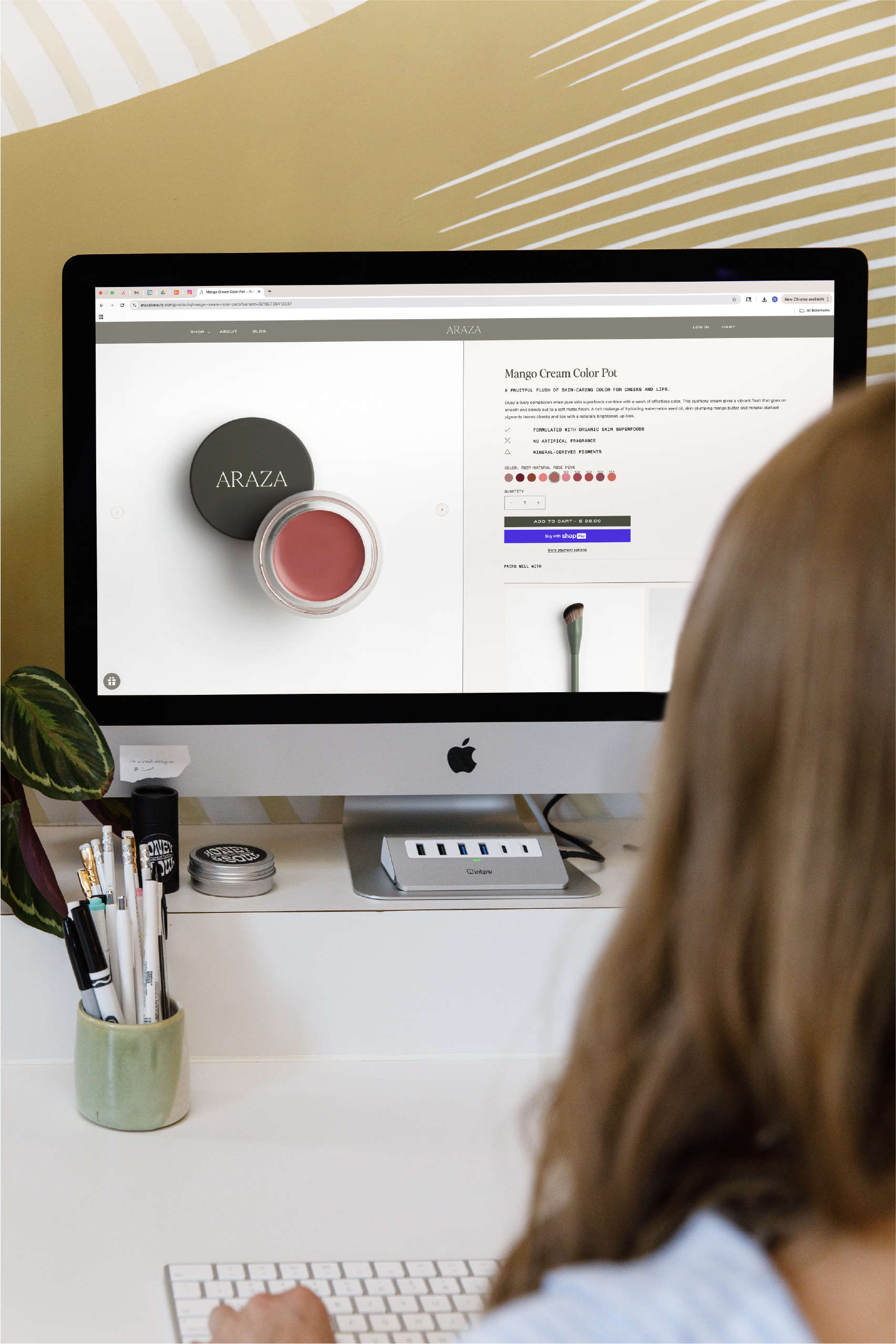 Araza Website Mango Cream Color Pot