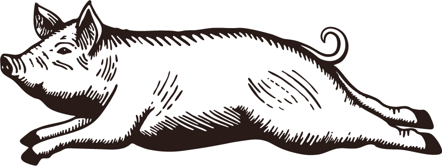 pig_2.png