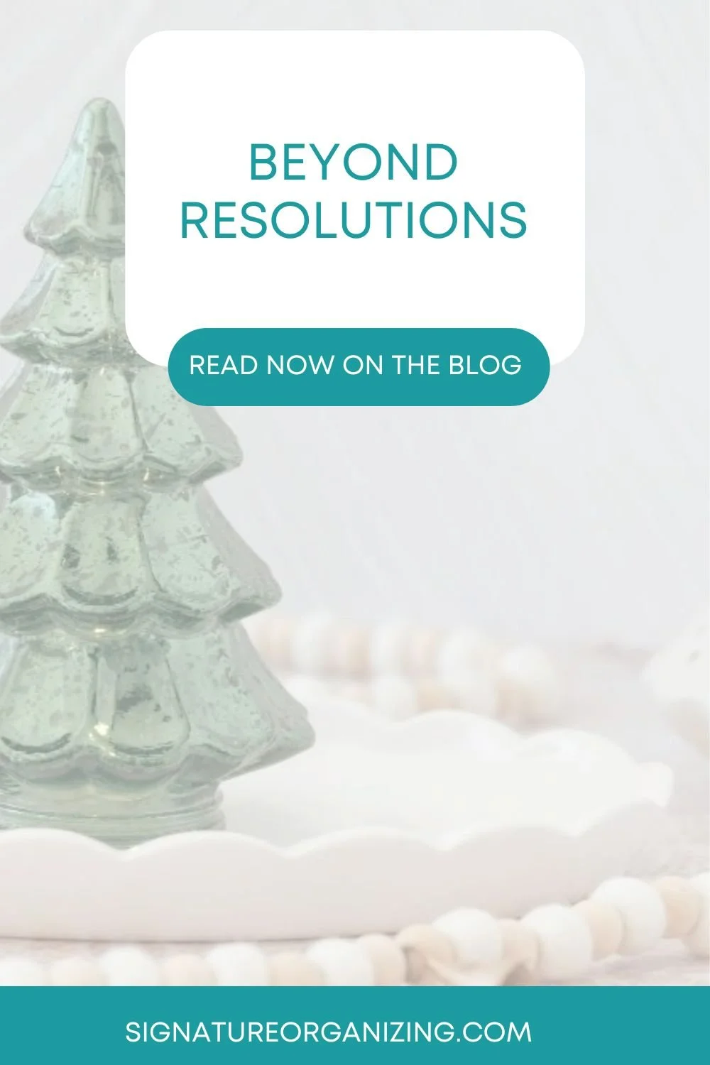 jessica-carter-professional-home-organizer-Kirkland-WA-signature-organizing-beyond-resolutions