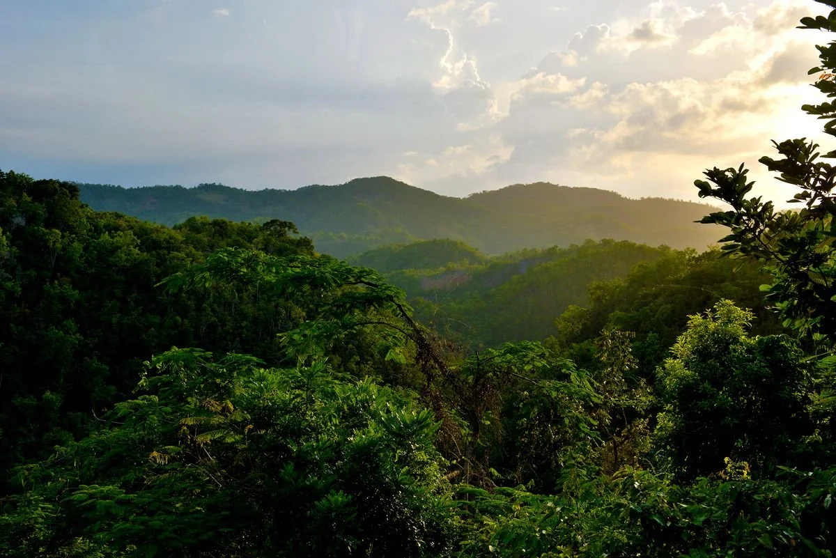 When to visit Jamaica?