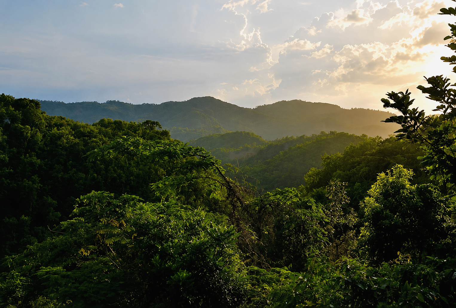 When to visit Jamaica?
