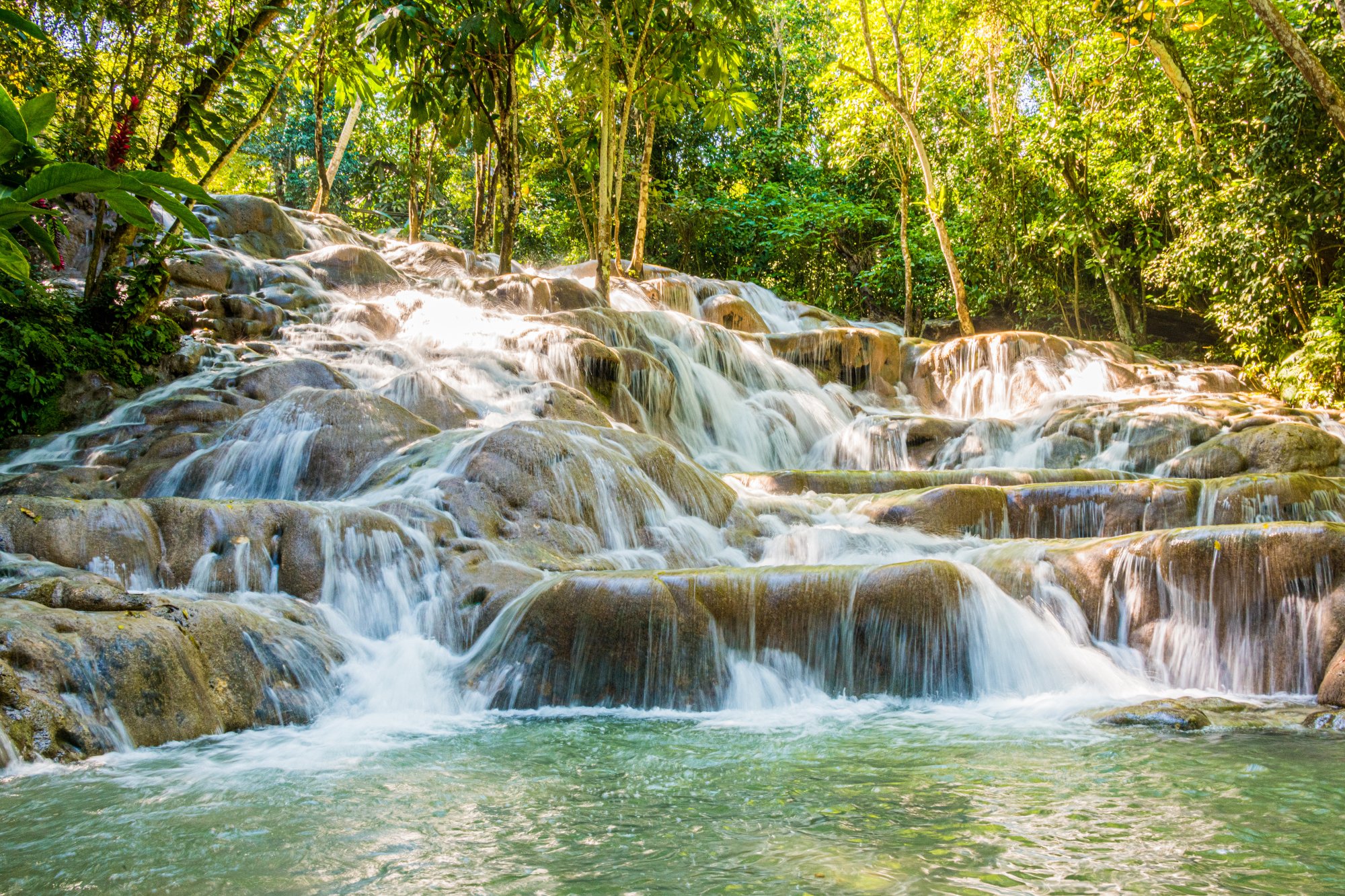 Dunn's River Falls Experience