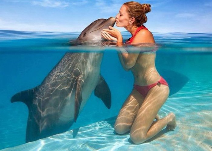 Dolphin Encounter