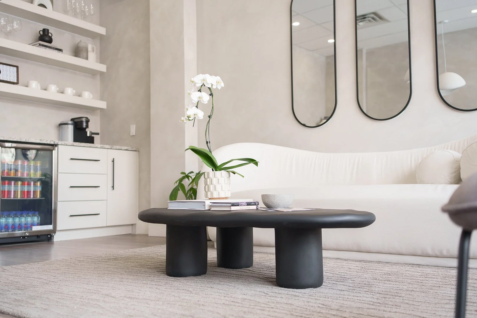 Minimalist living room with white sofa, black coffee table, white shelves with decor, orchid plant, and large mirrors on the wall.