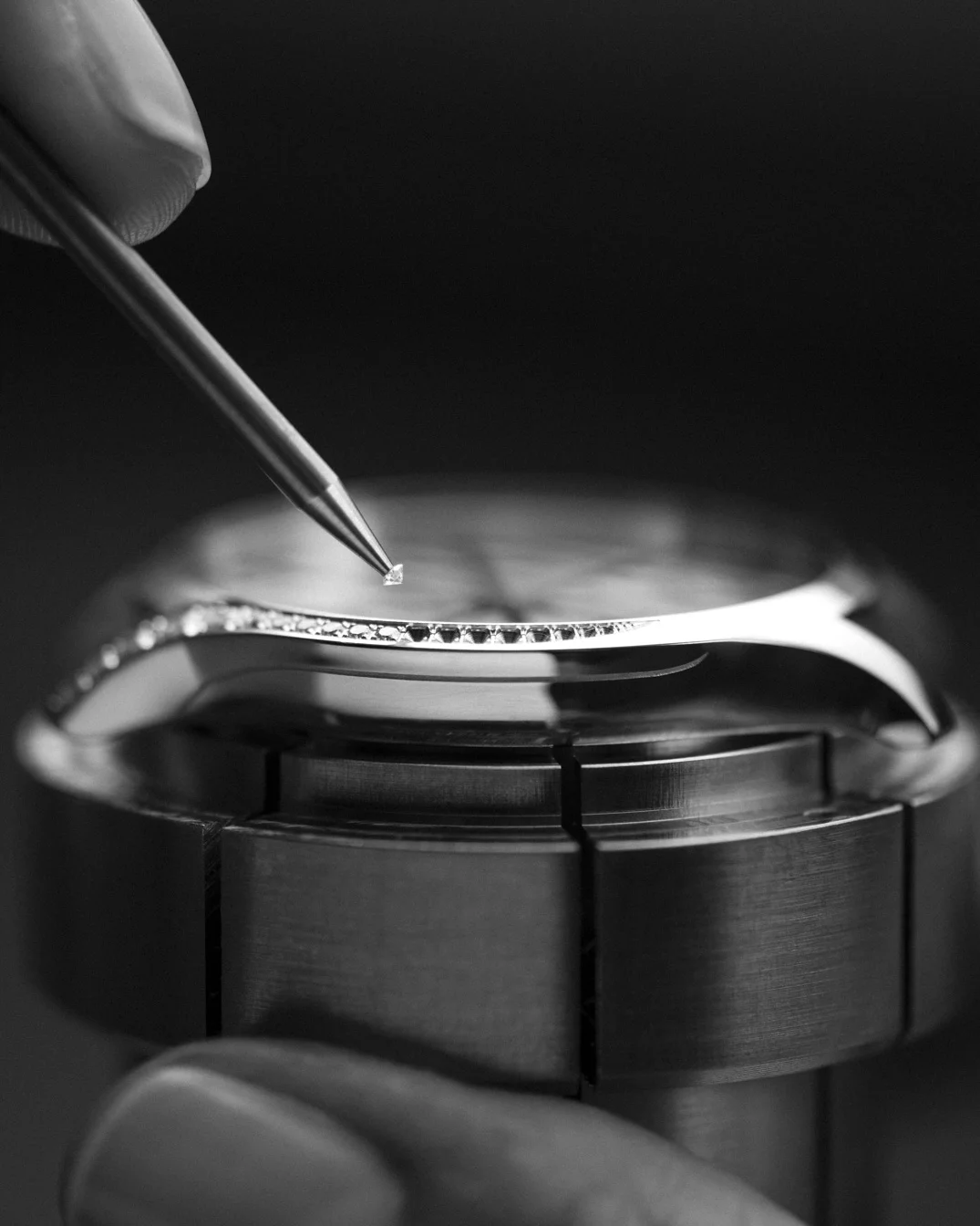 _DSC7015-Modifier.jpg