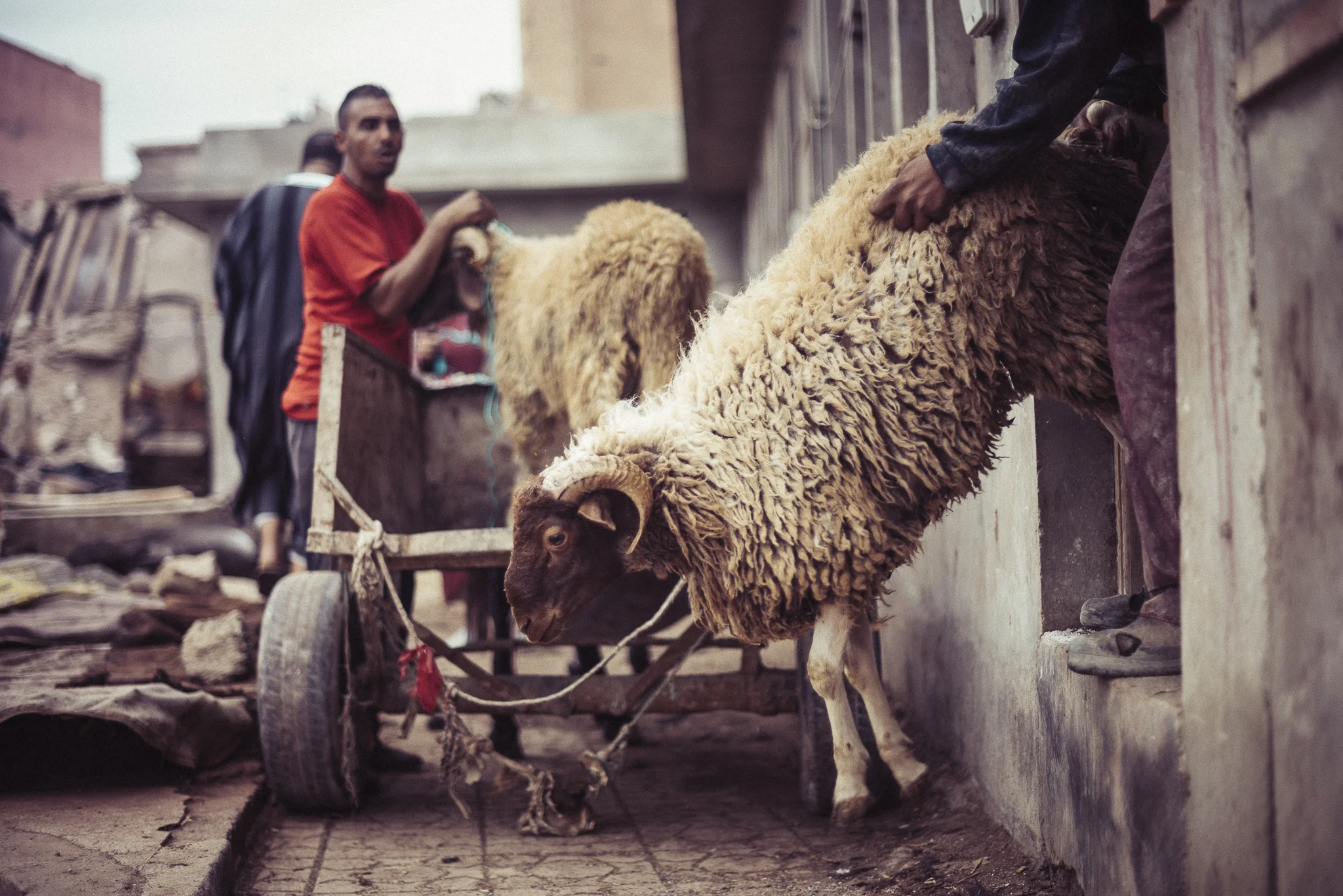 Maroc_2015-22.JPG