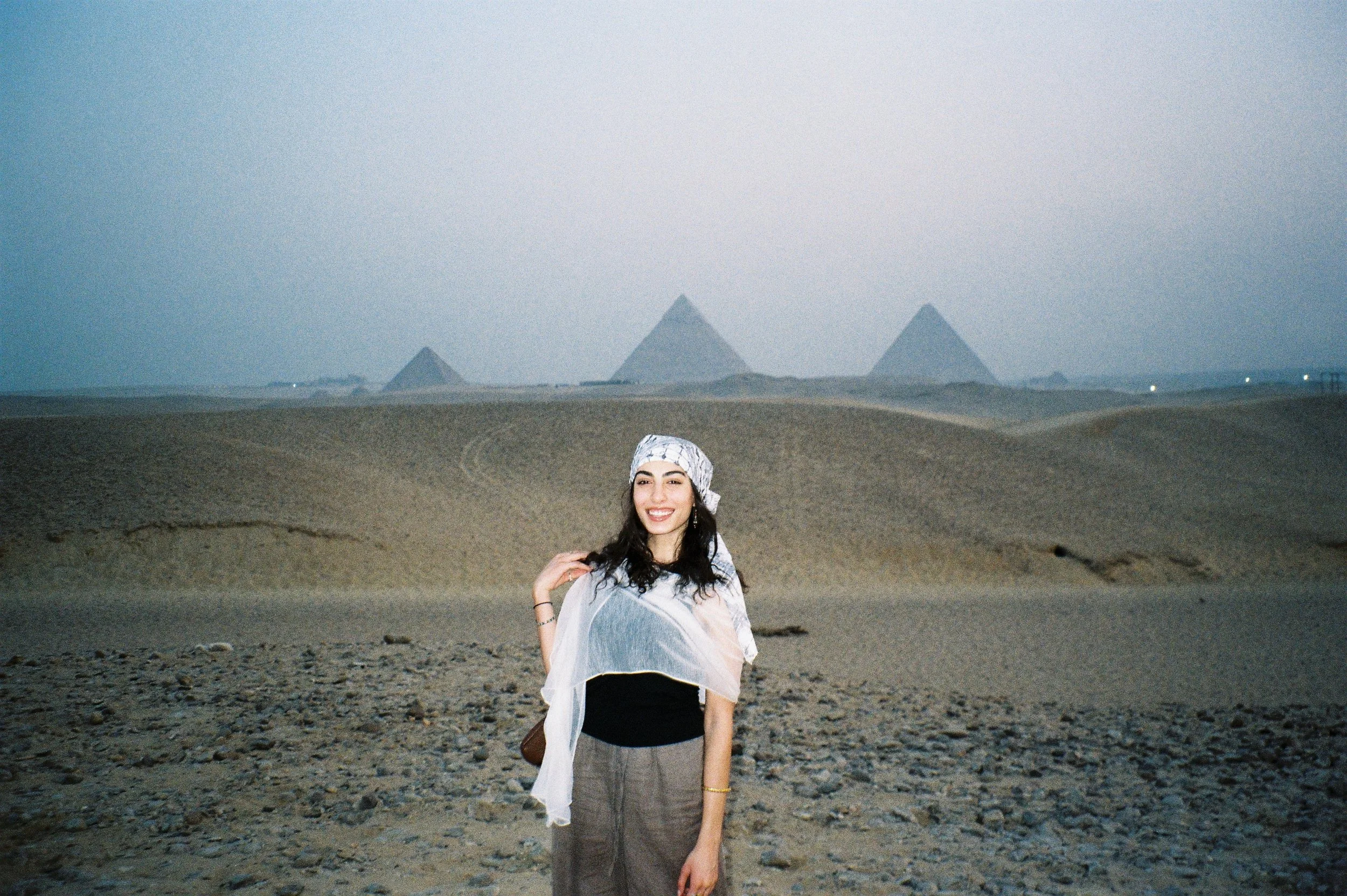 “Would you ever visit Palestine?”