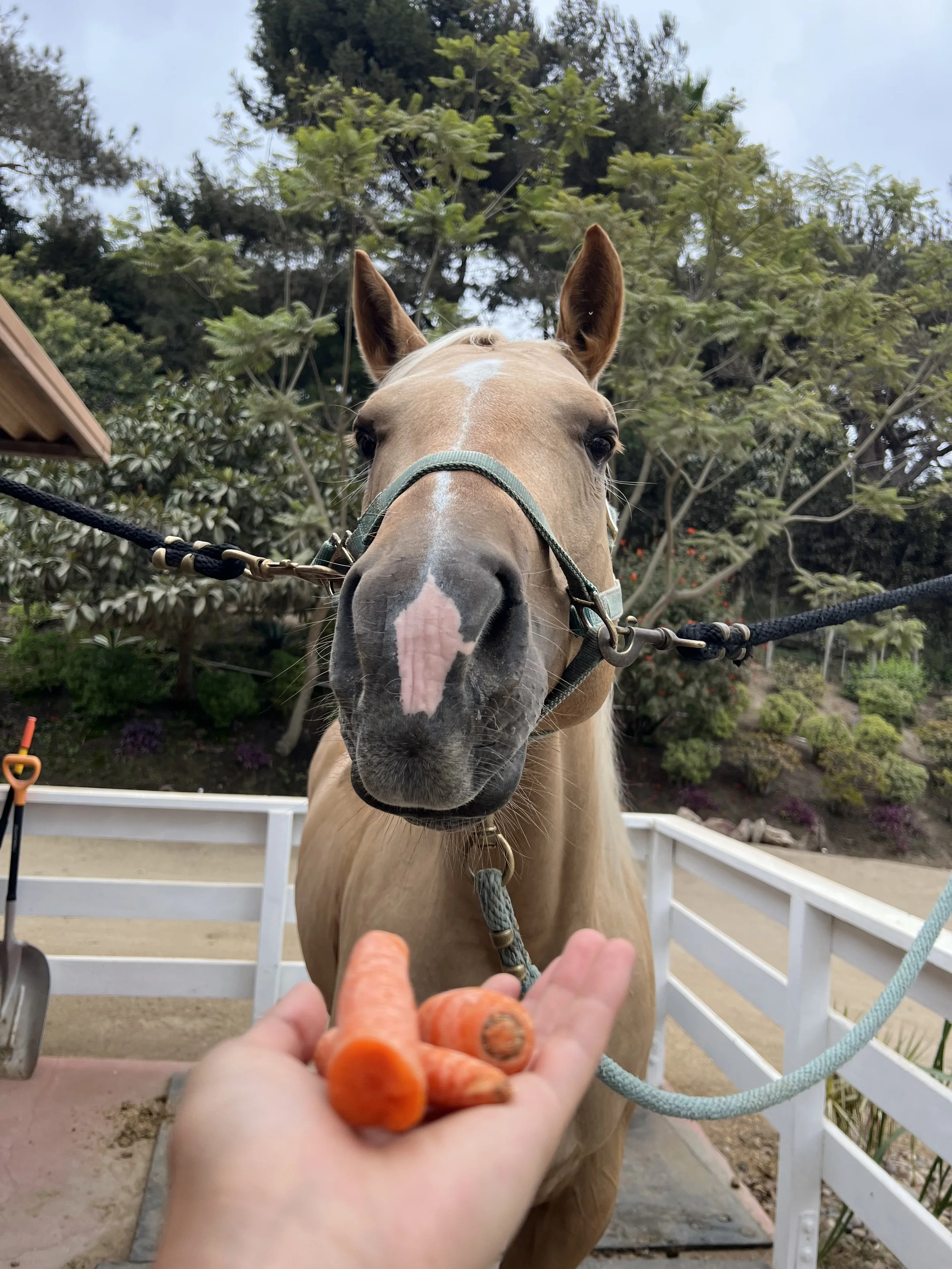 she loves her treats