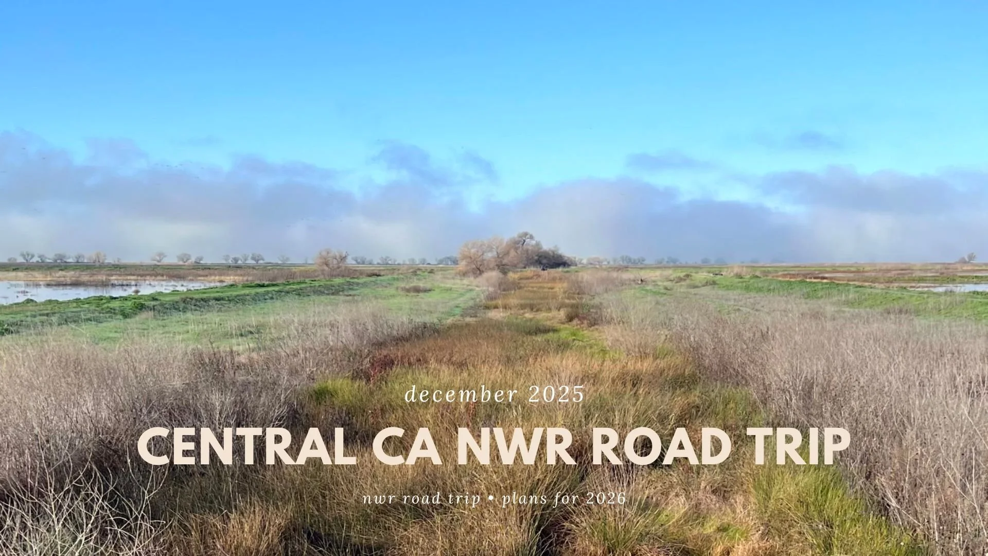 Central CA NWR Road Trip