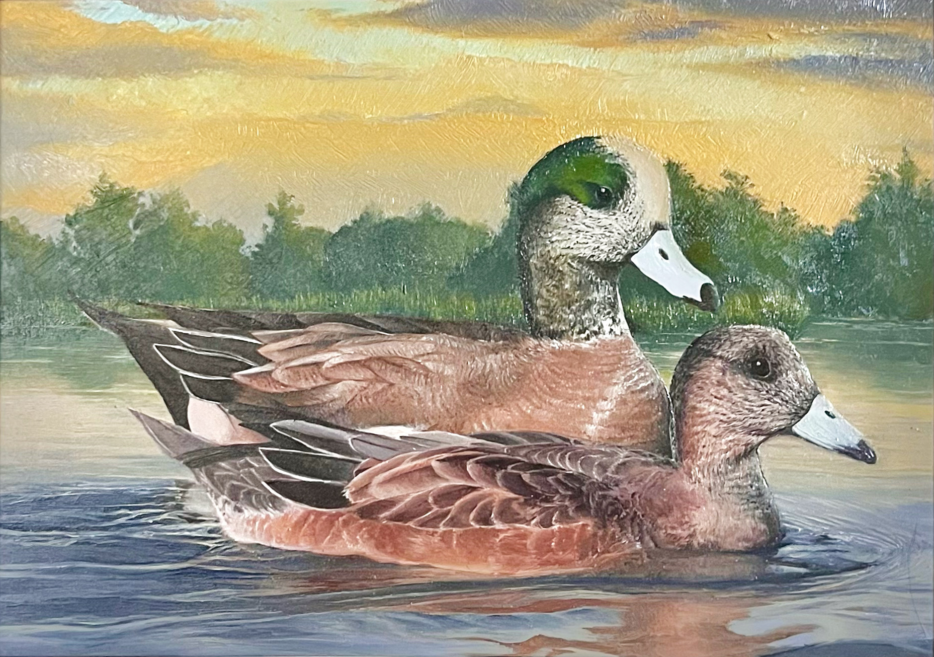 American Widgeons, 2022, 7 x 10
