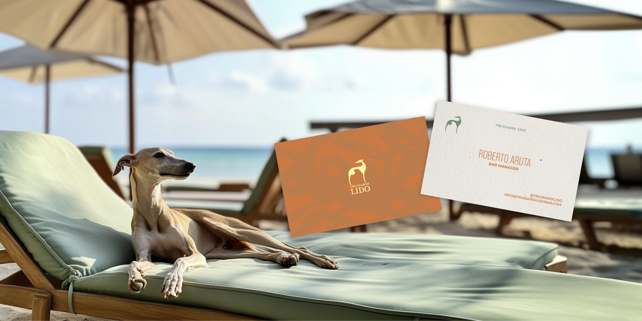 Tavola disegno 8@2x.png