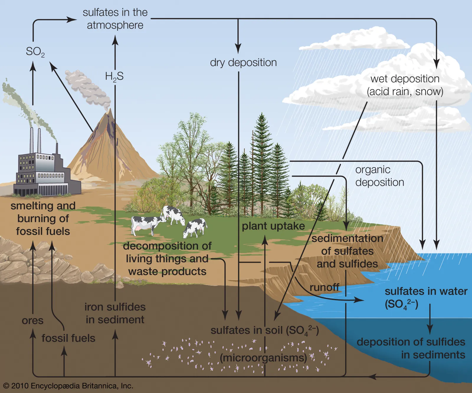 Sulfur-cycle-2.png