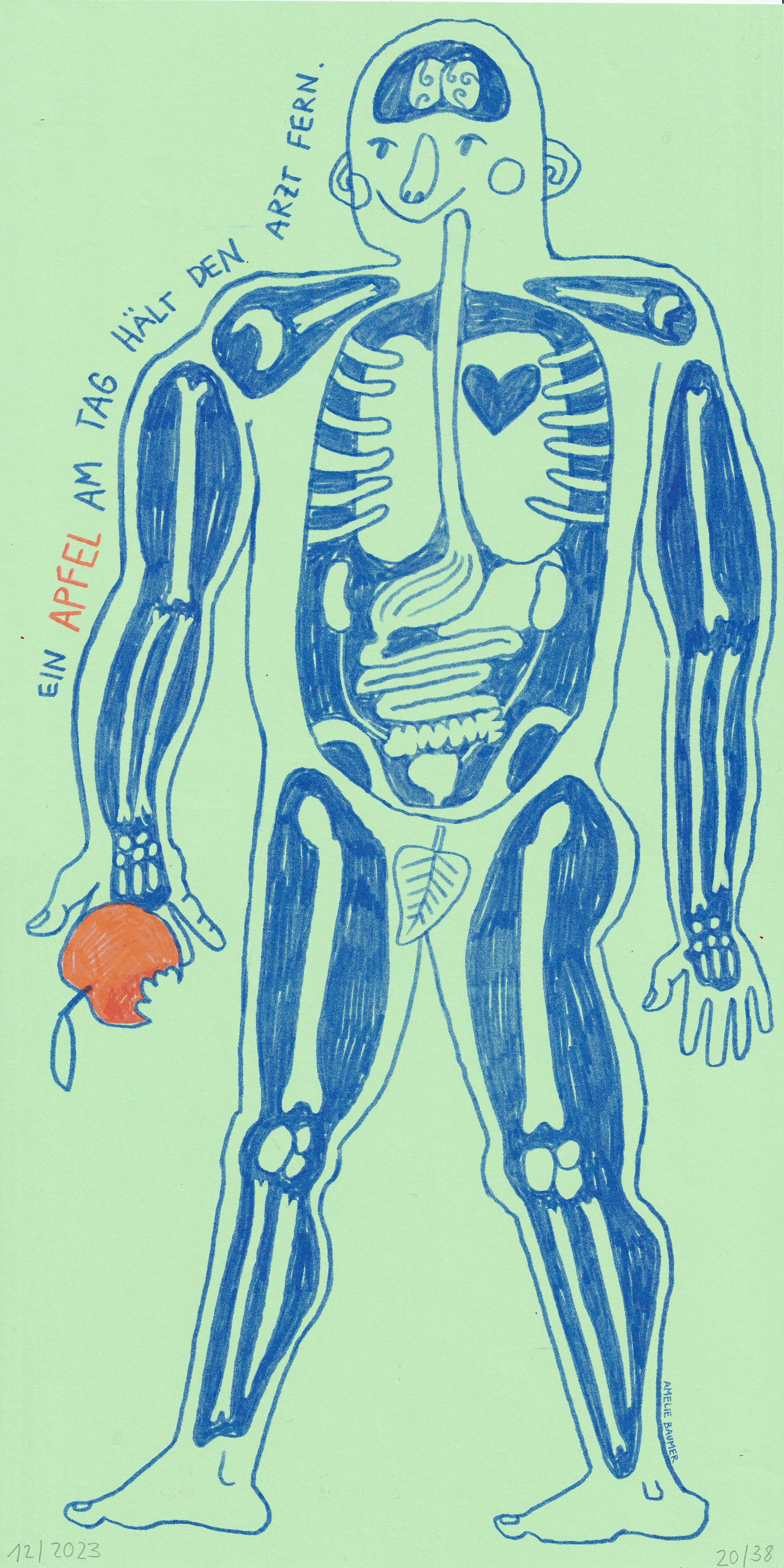 amelie_baumer_ein_apfel_illustration_print.jpg