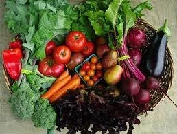 Nutrition, naturopath, organic food, regenerative food, paleovalley, wildpastures, cymbiotika, organifi, farms, farming, restorative, agriculture, spiritual food, spiritual farming, spiritual agriculture, biodynamic farming