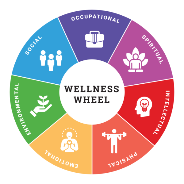 Colored wellness wheel diagram with sections: social, occupational, spiritual, intellectual, physical, emotional, environmental.