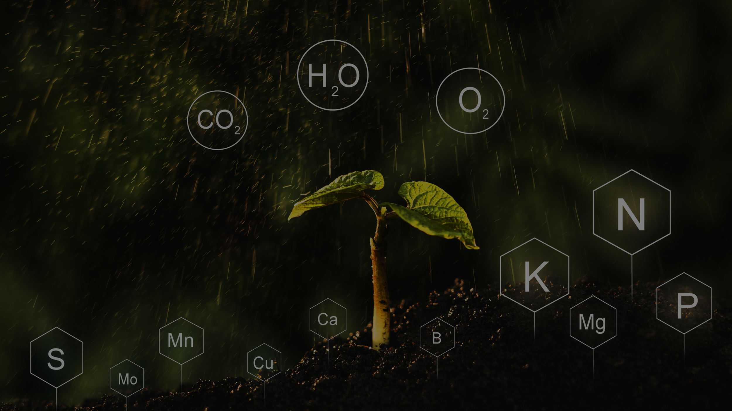 Science Blog mit wissenschaftlichen Artikeln zu funktionaler Ernährung.