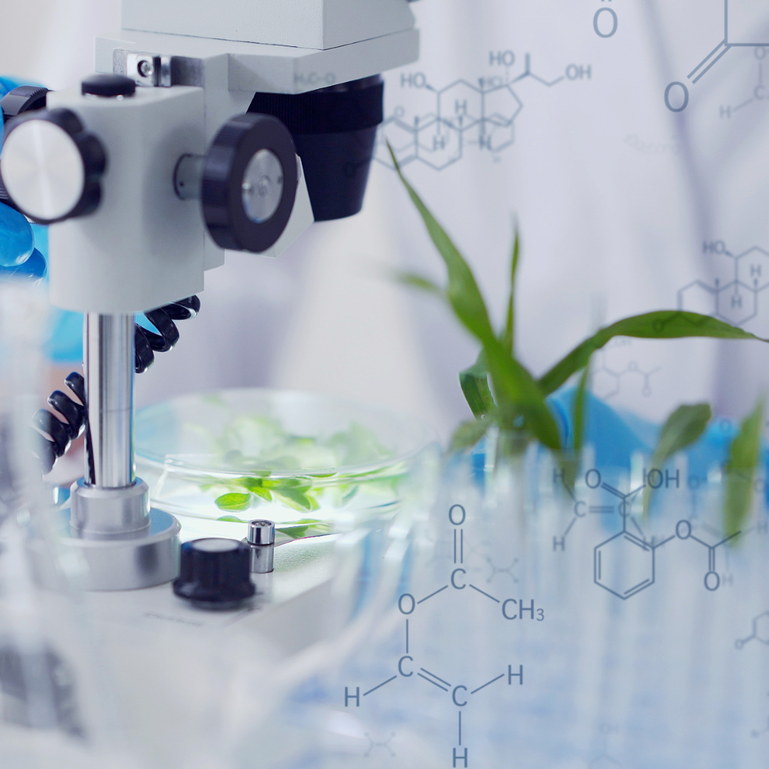 Die Wissenschaft hinter Functional Nutrition