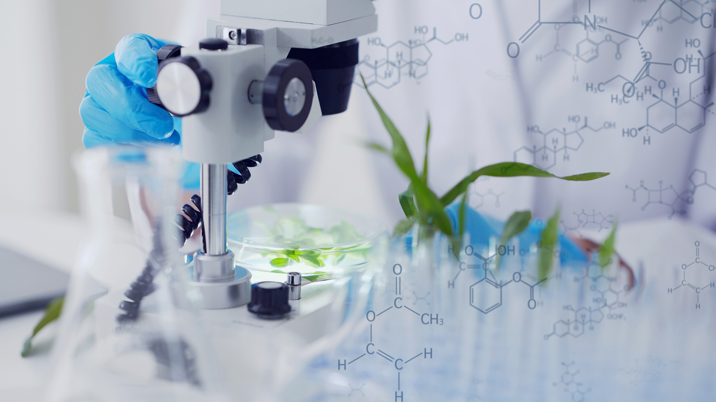 Funktionale Ernährung verbindet wissenschaftliche Erkenntnisse mit einem systematischen Ansatz für eine optimale Ernährung.