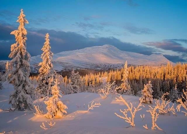 Schuberts&nbsp;Vinterresa med Annika Sandberg och Daniel Beskow 