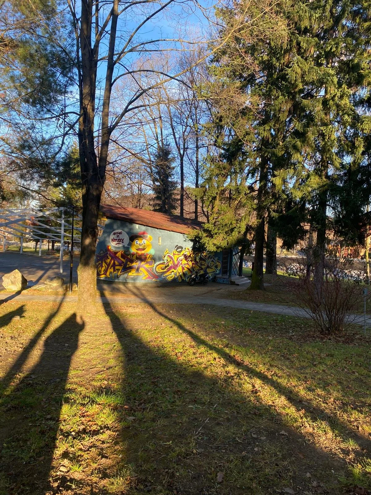 WhatsApp Image 2025-12-10 at 17.55.53.jpeg