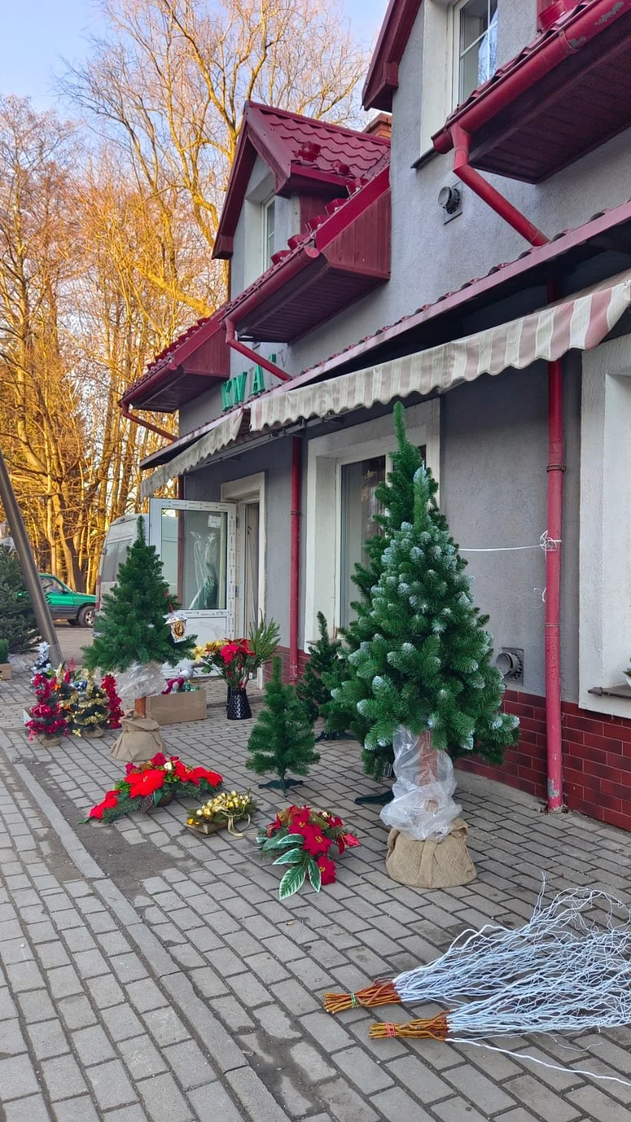 WhatsApp Image 2025-12-11 at 11.08.31.jpeg