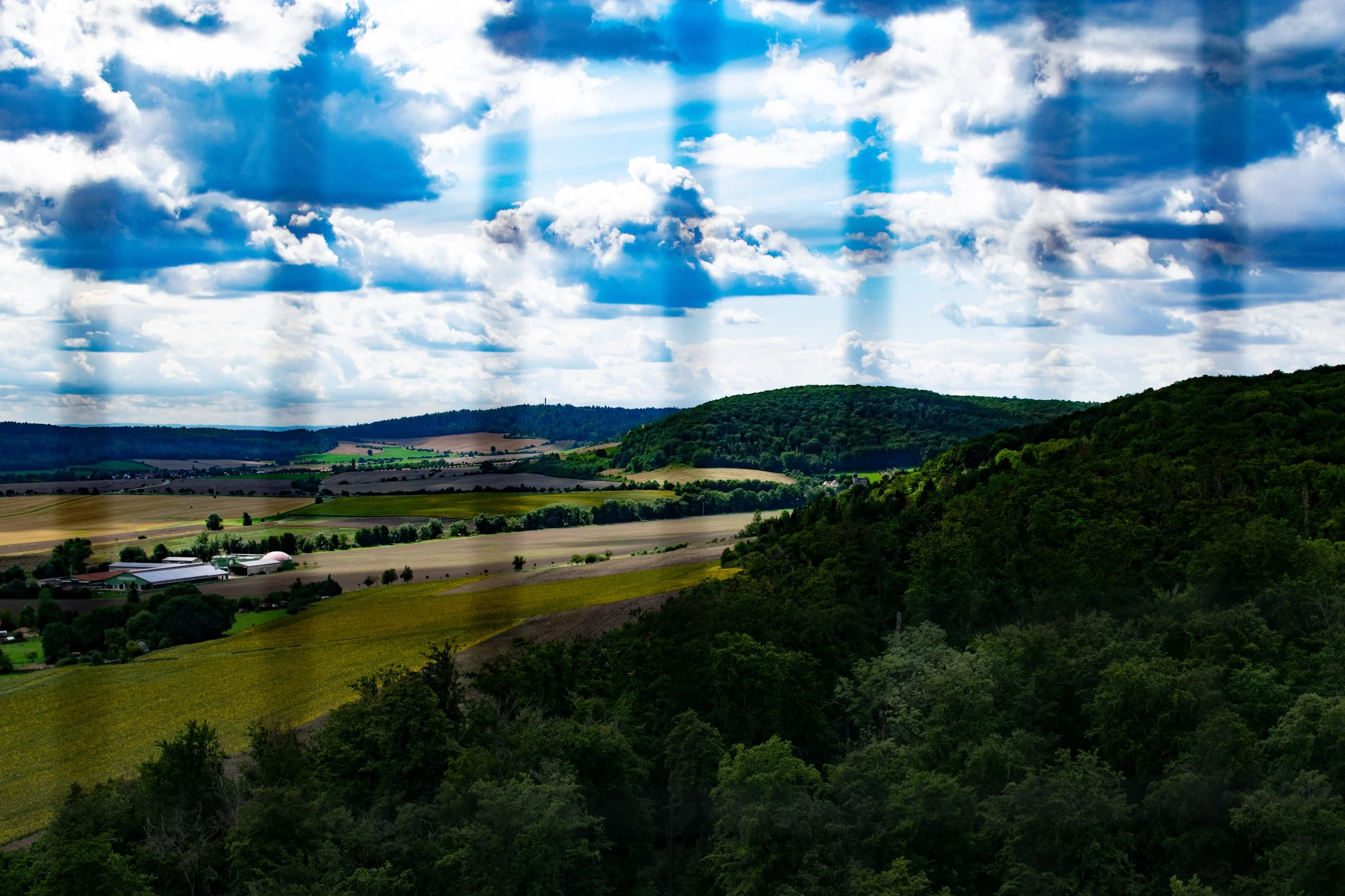 DSC_0479.jpg