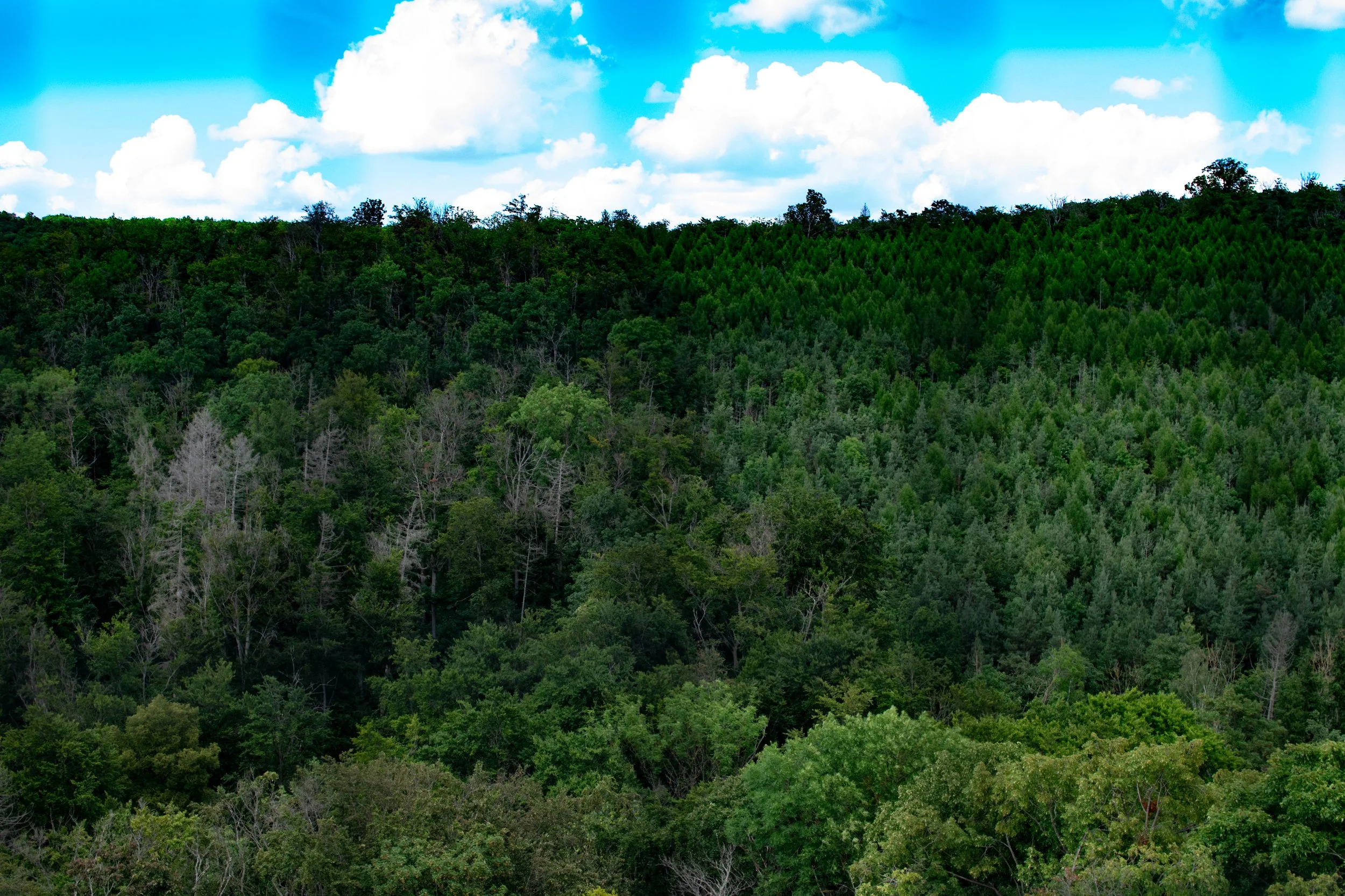DSC_0480.jpg