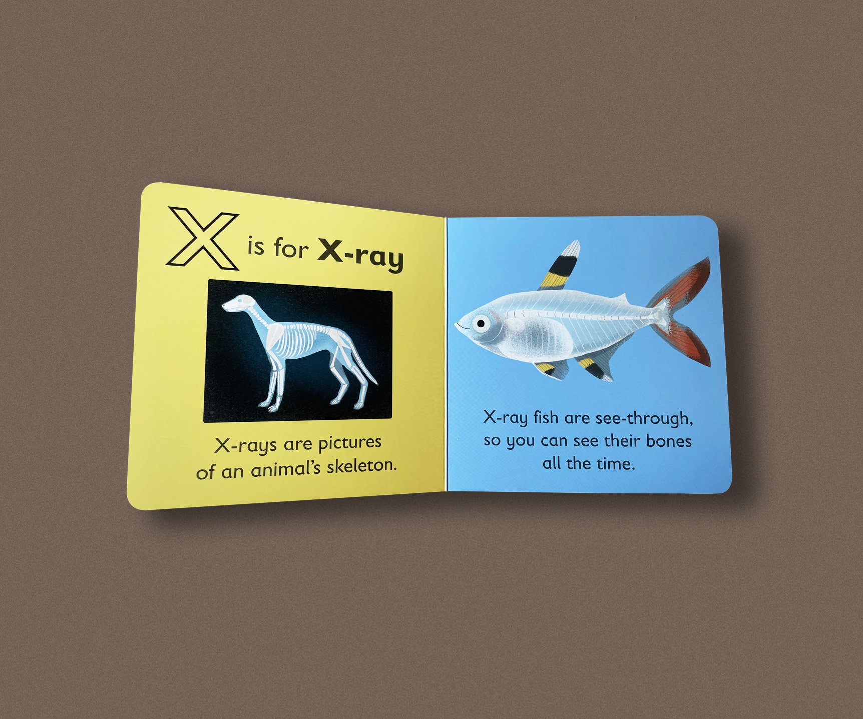 X-ray_fish_04.jpg