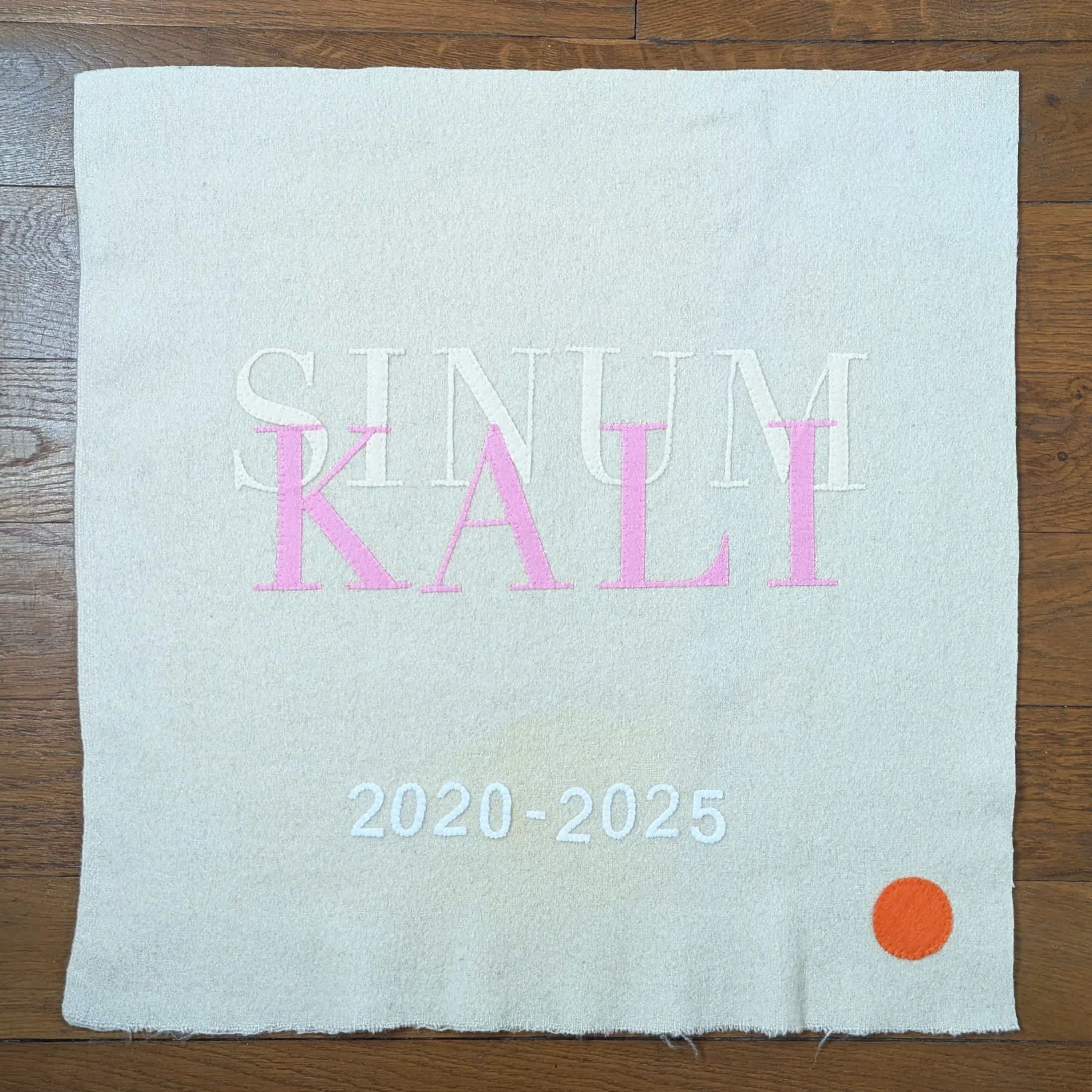 SNM PXL_20251030_141113443 copy.jpg