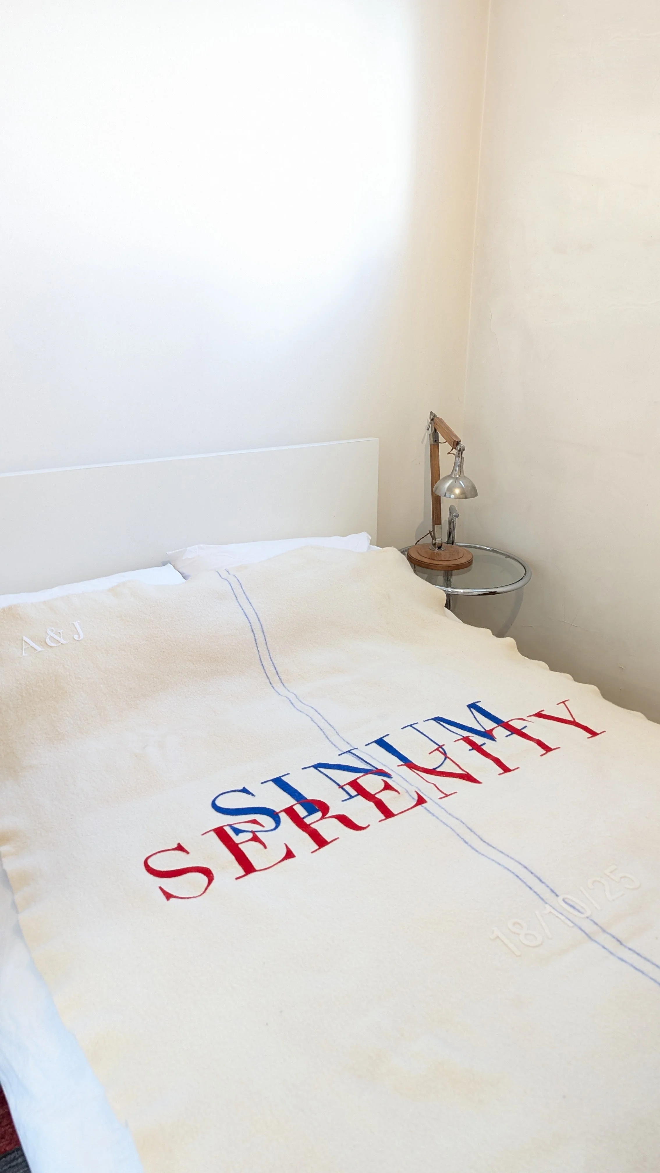 SNM PXL_20251017_083943526 copy.jpg