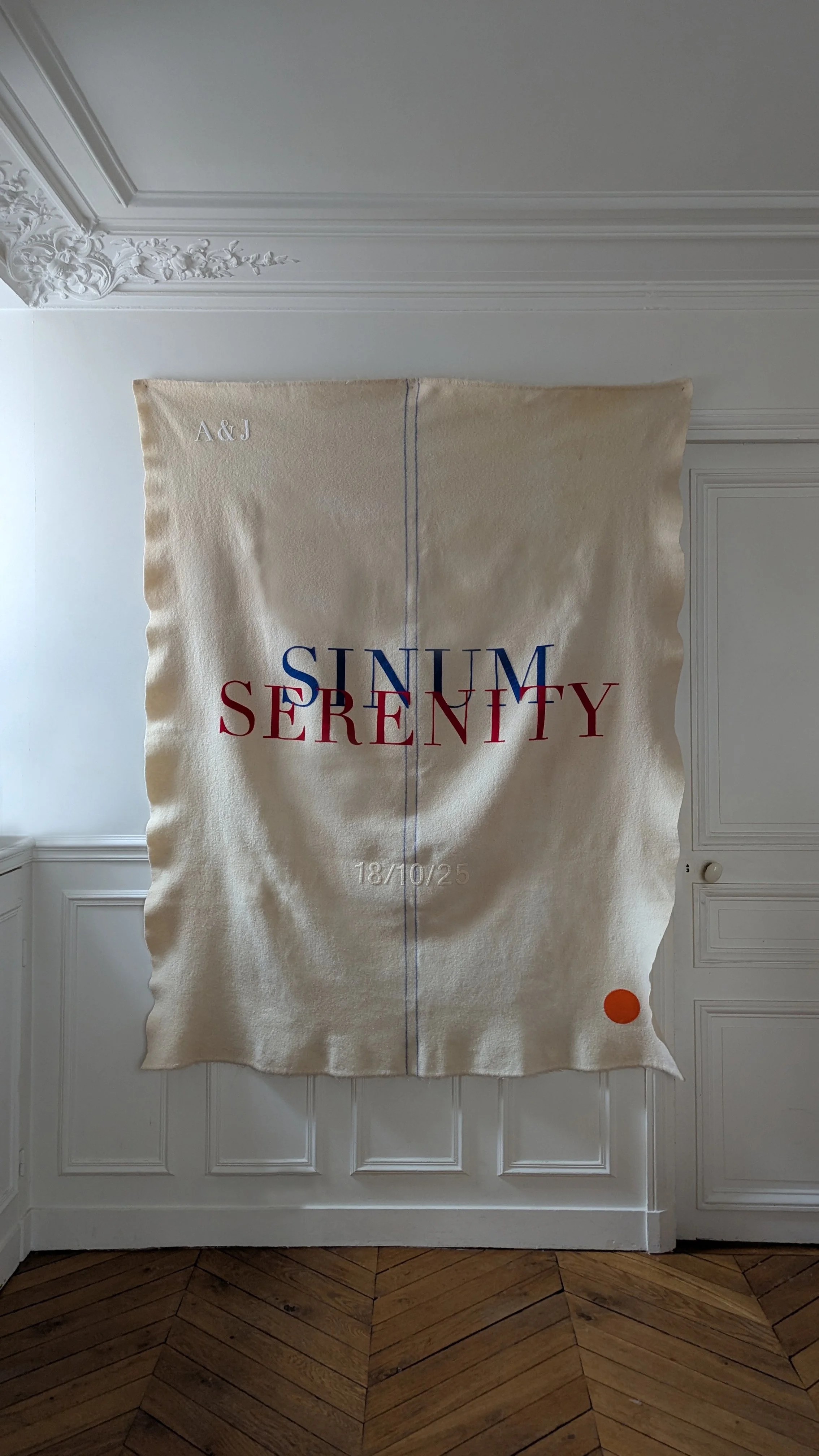 PXL_20251016_131543479 copy.jpg